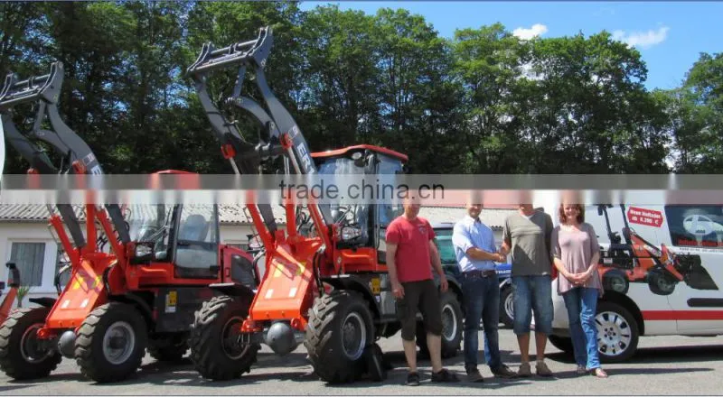 Everun Brand New 2.8Ton Diesel Forklift