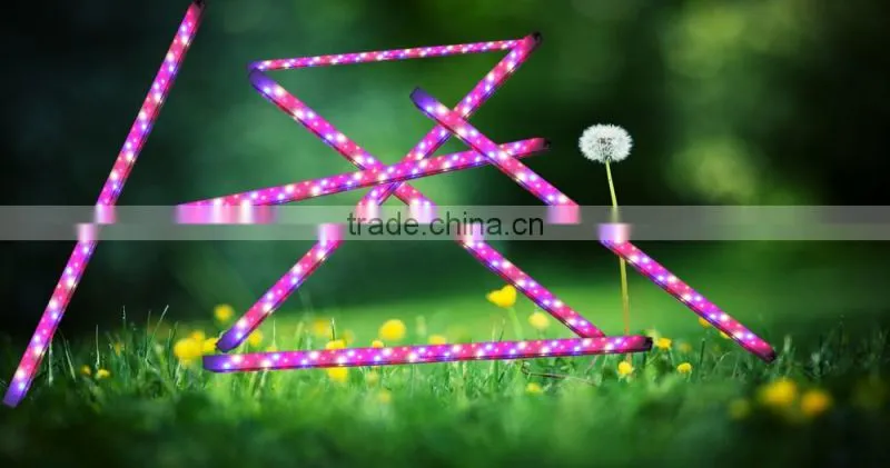 ShenZhen LED Manufacturer supply Full spectrum LED Grow Light MarsHydro LED Lights Grow Bar