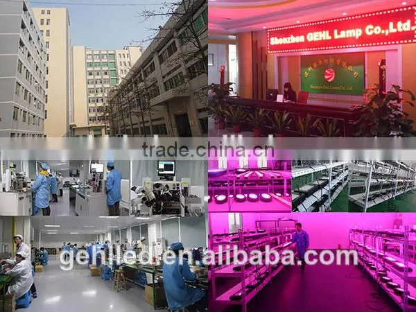 2017 hot sales high efficient 3W LED diodes 300W 400W 600W led grow light