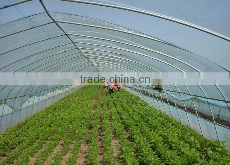 Anti UV Anti drip Anti aging PE Film Greenhouses for Vegetable