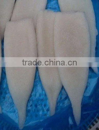 Frozen Squid Tubes