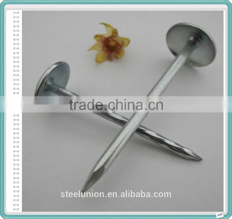 BWG9X2.5" Umbrella Head Roofing Nail Factory