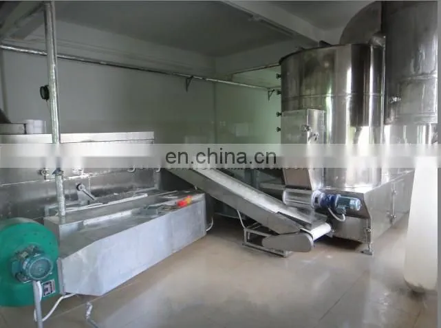 Desiccated coconut drying machine / coconut chips dryer