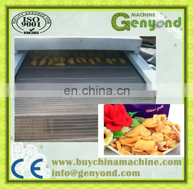 shanghai dryer machine for drying mango