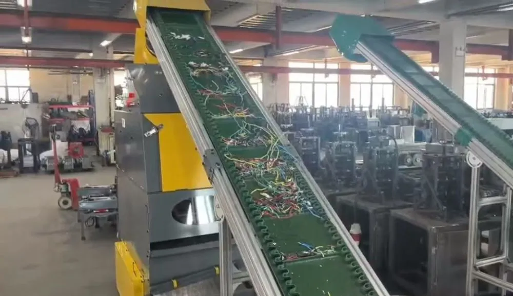 微信图片_20260516180730_663_6