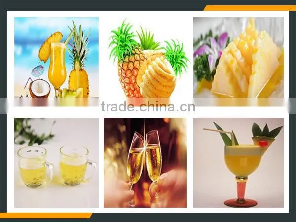Leader popular fruit juice making machine with high efficiency