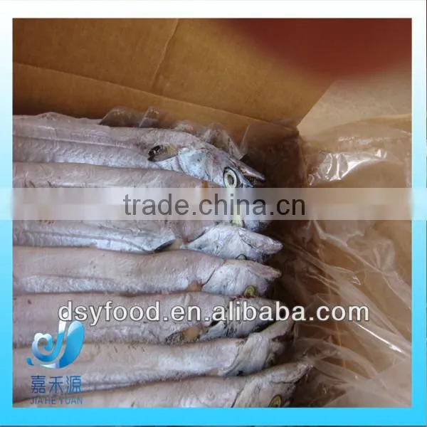 large whole round ribbon fish