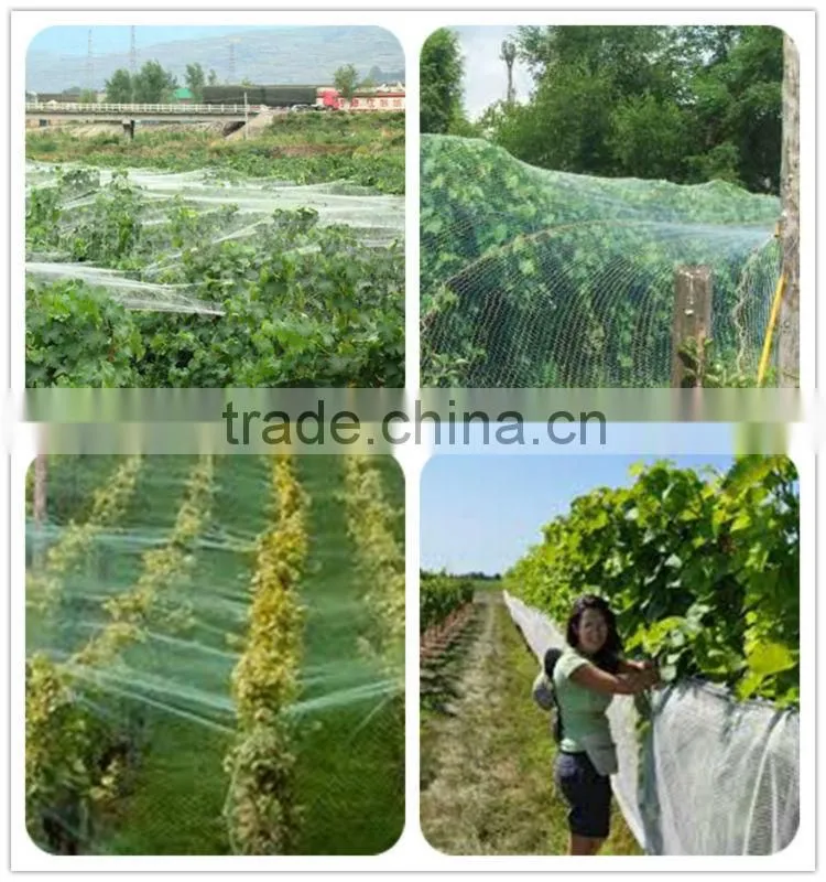 high quality anti hail protection agricultural net