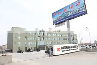 Shandong Binzhou Huantong Power Co., Ltd. company overview - view 1