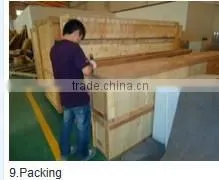 New design and full automatic fresh vegetable and fruit packing machine