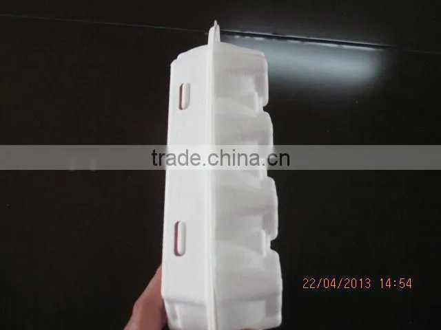 10 Eggs Sugarcane Fiber Moulded Pulp Chicken Egg Tray