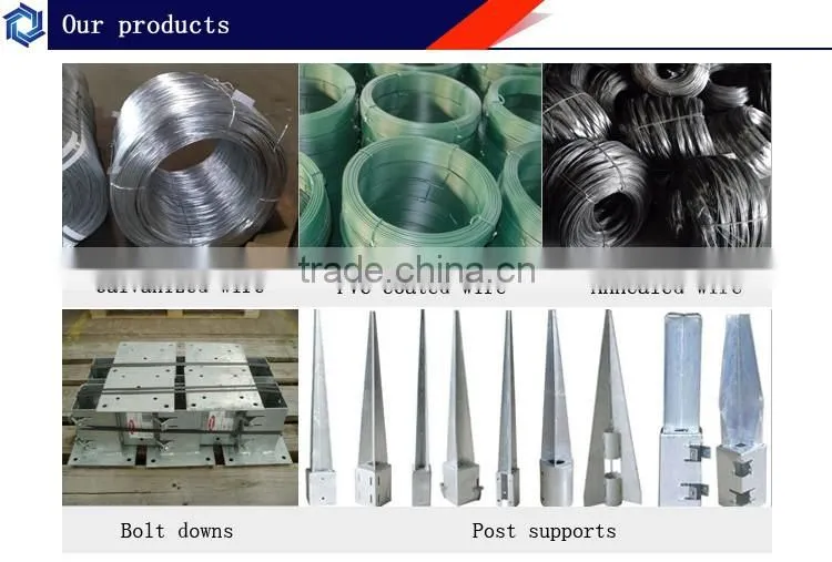 polished common building wire nails