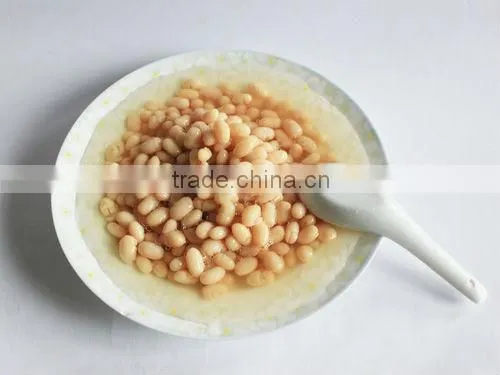400g Canned White Kidney Beans in Brine
