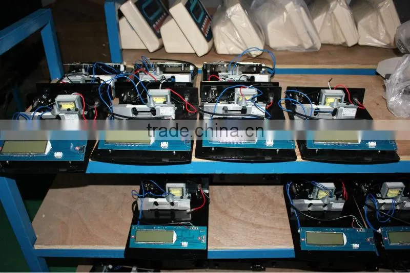 PW Platform Weighing Scale