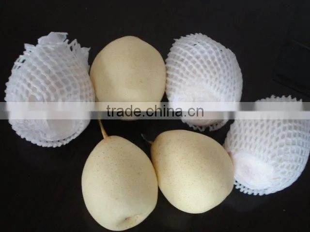 fresh chinese pear