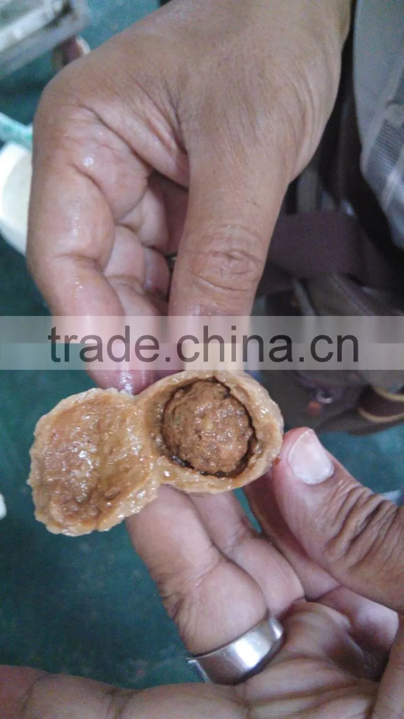 Meat Ball Making Machine; A complete line for Meat Ball Machinery