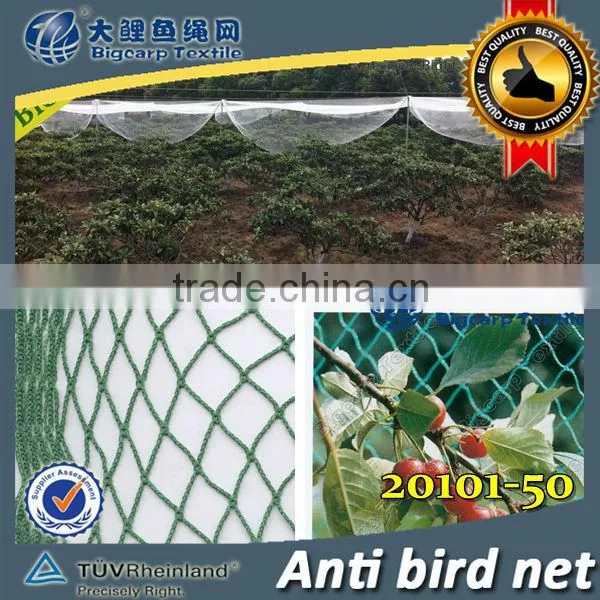 100% Virgin HDPE birds net / 20101-50