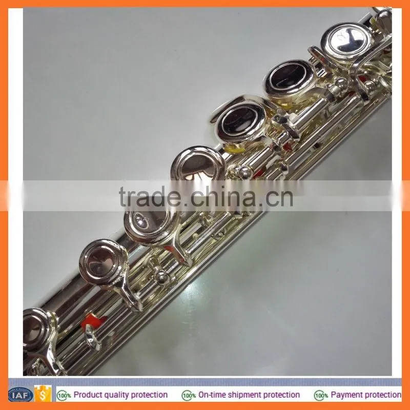 cheap flute for students