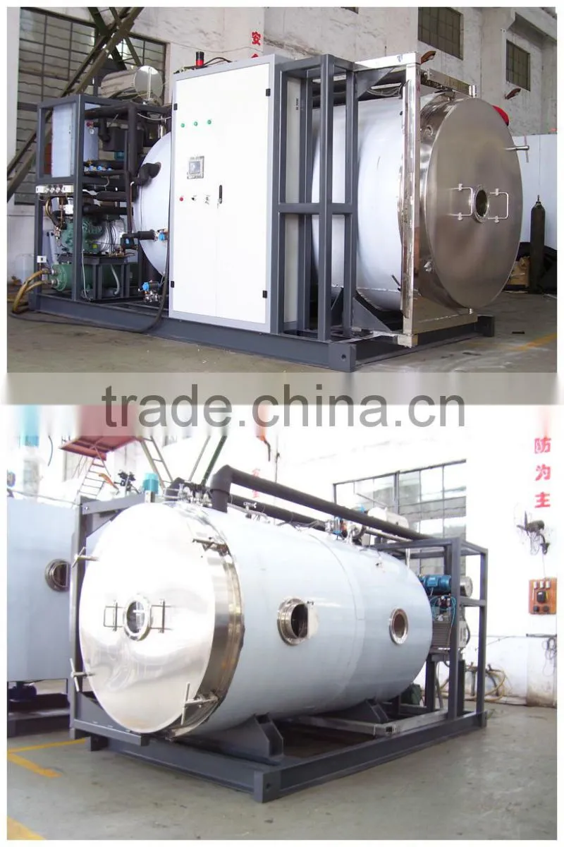 LTDG-Series Vacuum Freeze Drying Machine