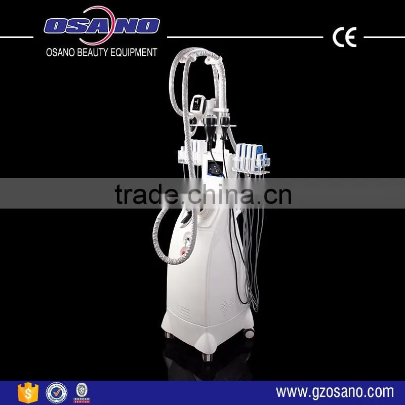 Christmas Promotion Clinic Beauty System Cryopolisis Machine