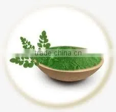 DRIED MORINGA LEAVES POWDER BEST QUALITY AT BEST PRICE