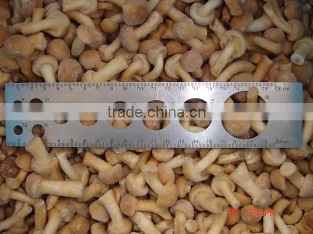 IQF nameko