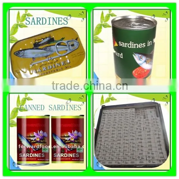 canning sardines china sardine