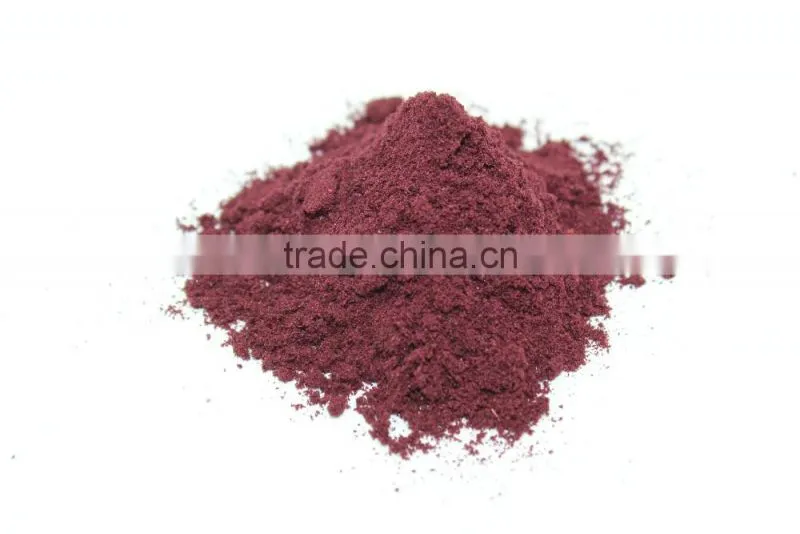 Freeze Dried Blueberry Powder