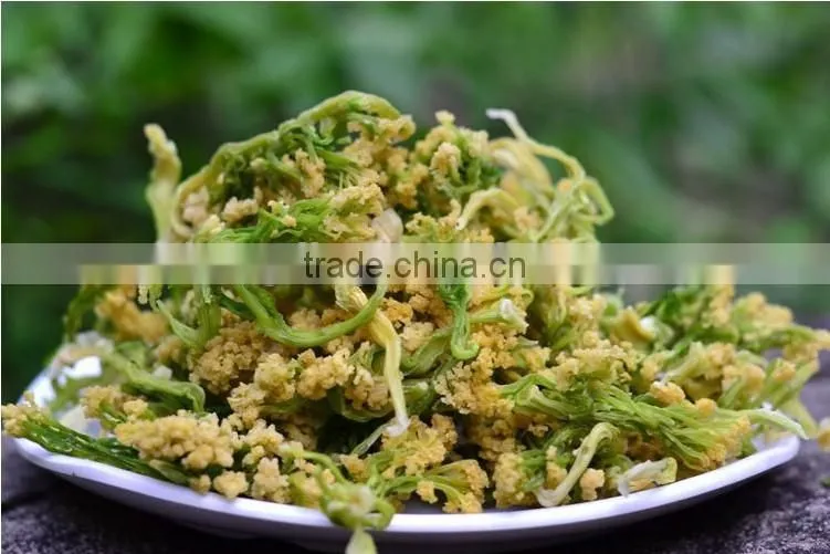 China wholesale Broccoli, Broccoli powder,Dried Broccoli best selling products in europe