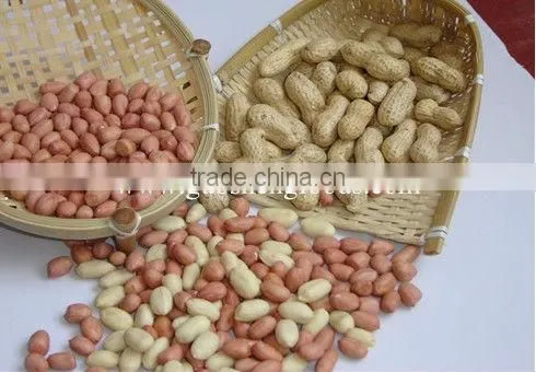 Chinese raw peanuts for sale