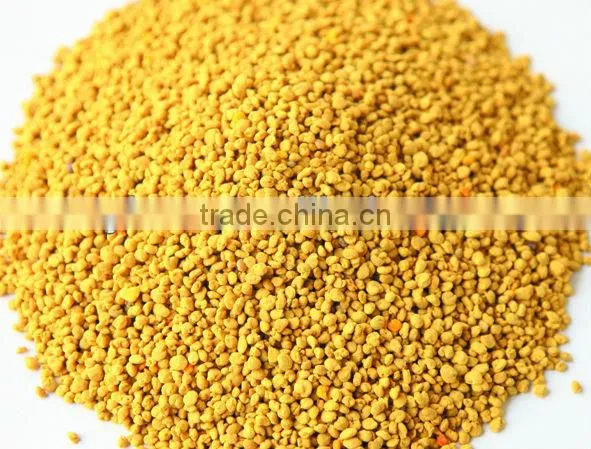 china low price sweet camellia bee pollen grain