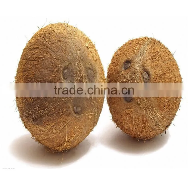 Coconut oil in bulk| Edible Oil cooking oil