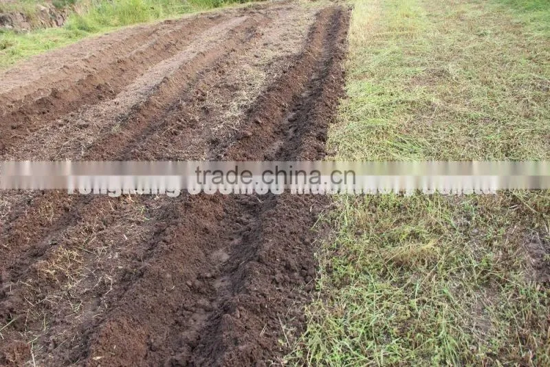 Multi-purpose two wheel walking tractor for sale