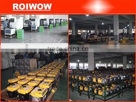 1.0kw electric generator RWGG-31004