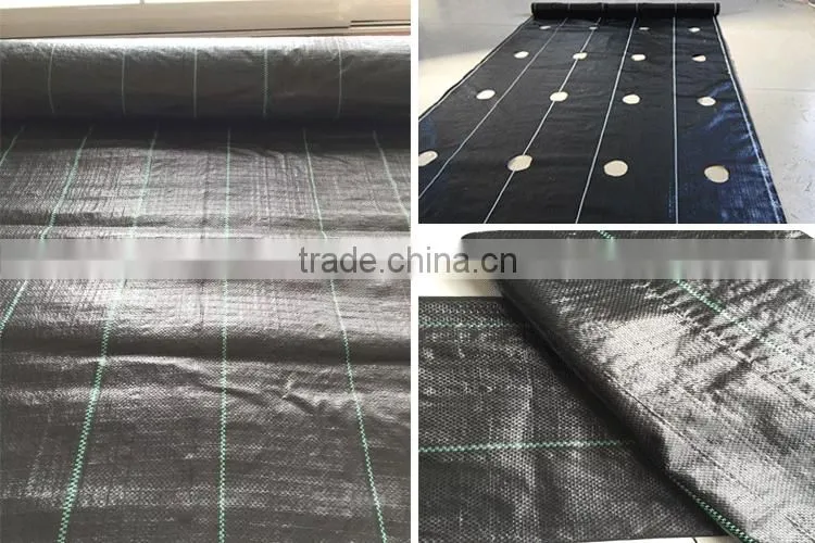 PP woven weed control mat