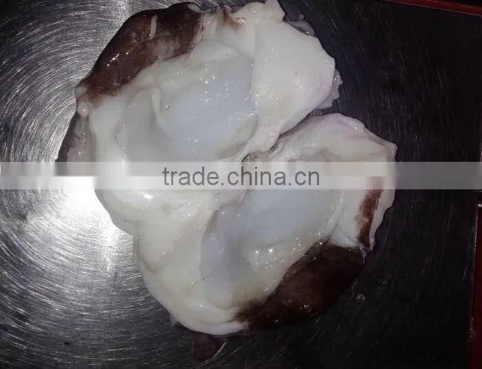 food seasoning ,Frozen Giant Squid Neck
