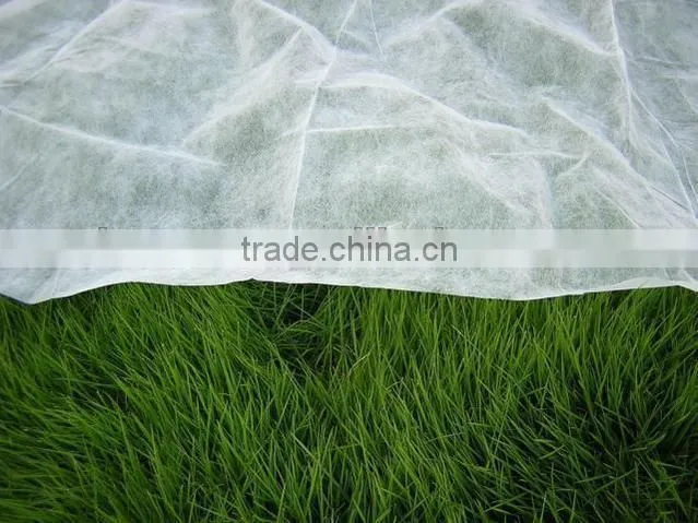 Biodegradable Polypropylene Agricultural Film