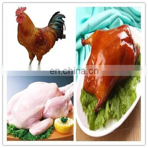 Automatic poultry plucker processing 3-5pcs chicken/chicken feather plucking machine price