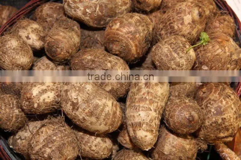 Vietnam Diced Shape Frozen Taro Root Products