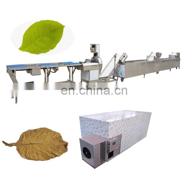 Lettuce leaf Vegetables Spinach Cutting Washing Drying Full Automatic Processing Machine Line