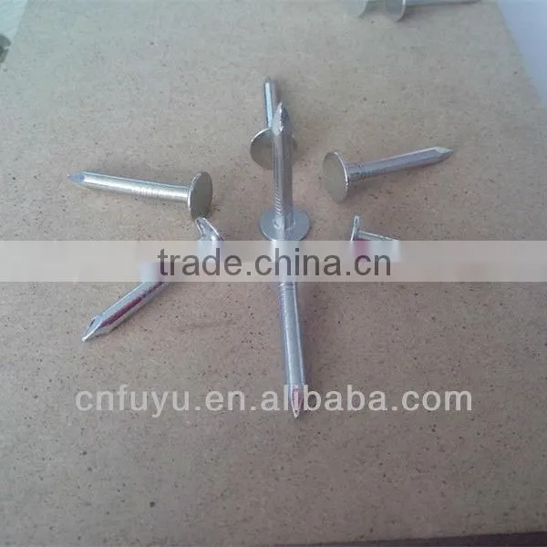 zinc plated clout nail for ceiling factory of linyi shandong