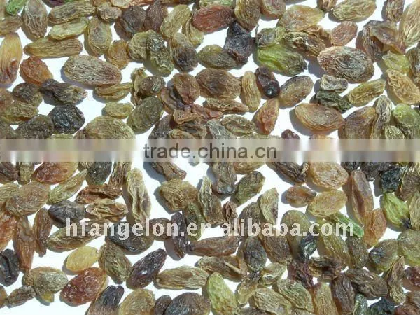 Raisins color sorting machine