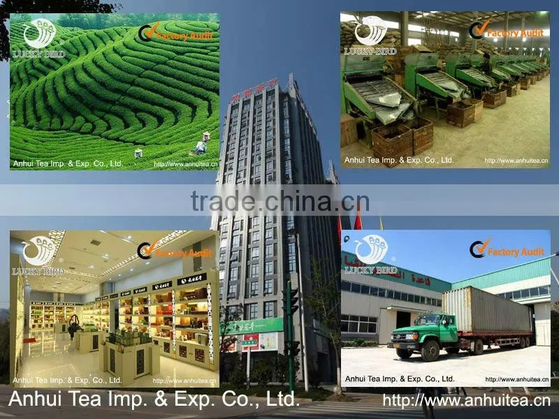 China Green Tea Special Chunmee 9371AAAA for African market