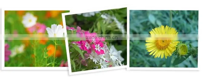 seed card ,seed bookmark,plantable seed paper