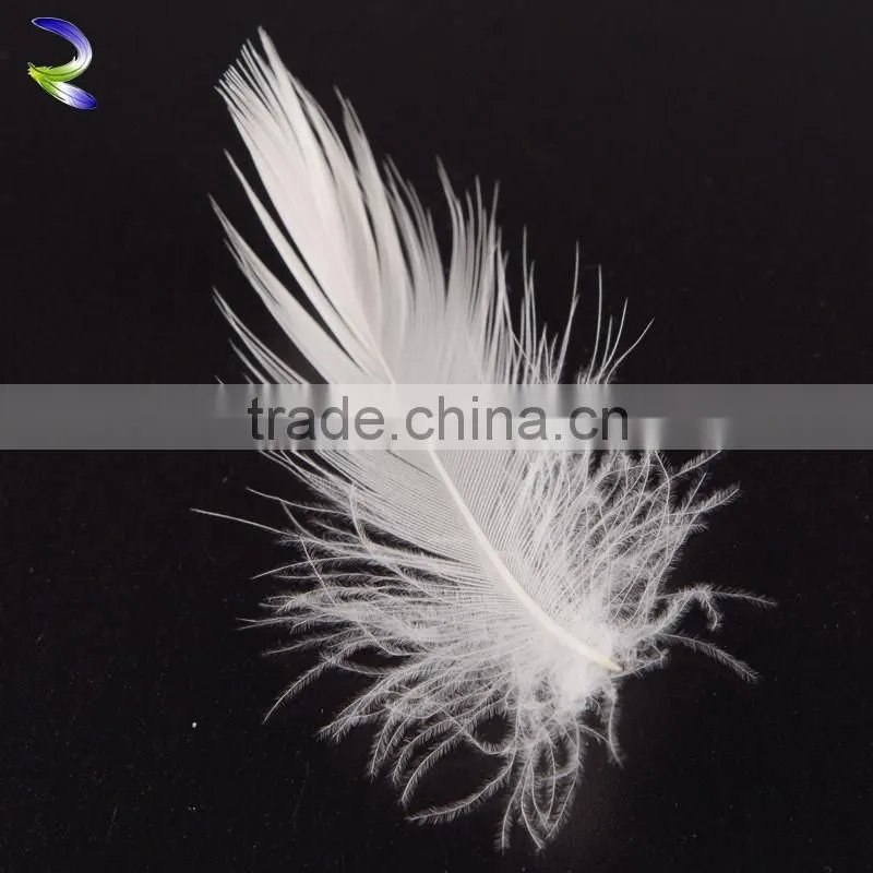 High quality cheap raw material feather white duck feathers for sale