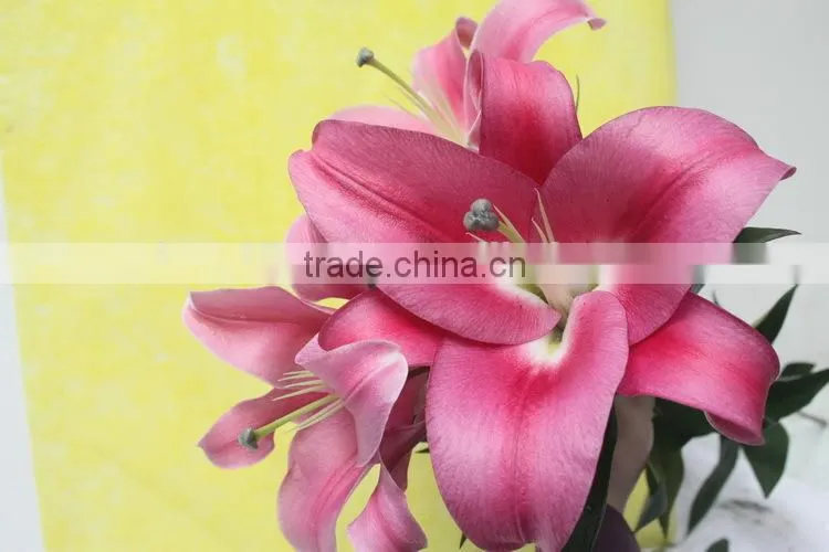 Reasonable price new coming lily flower from kunming