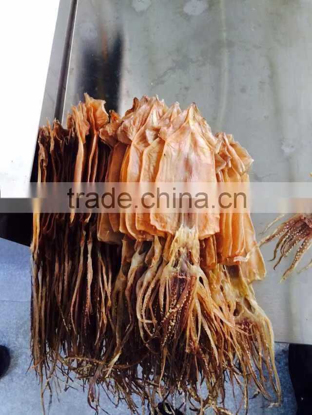 export dried shredded squid, dried illex squid