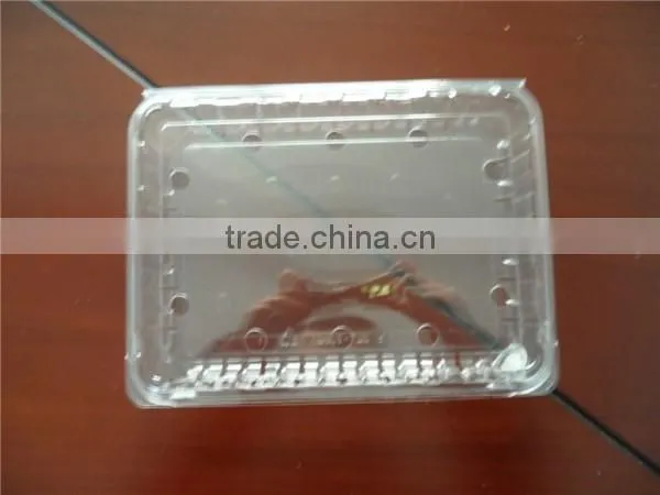 Plastic seasonal fruit packaging boxes of different specification