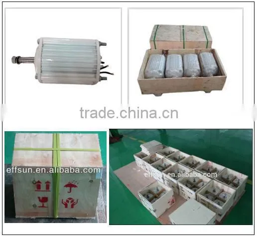 windmill generator 3000w
