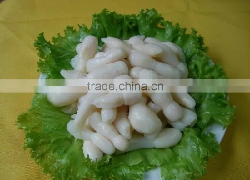 Dry Coprinus Comatus Mushroom China